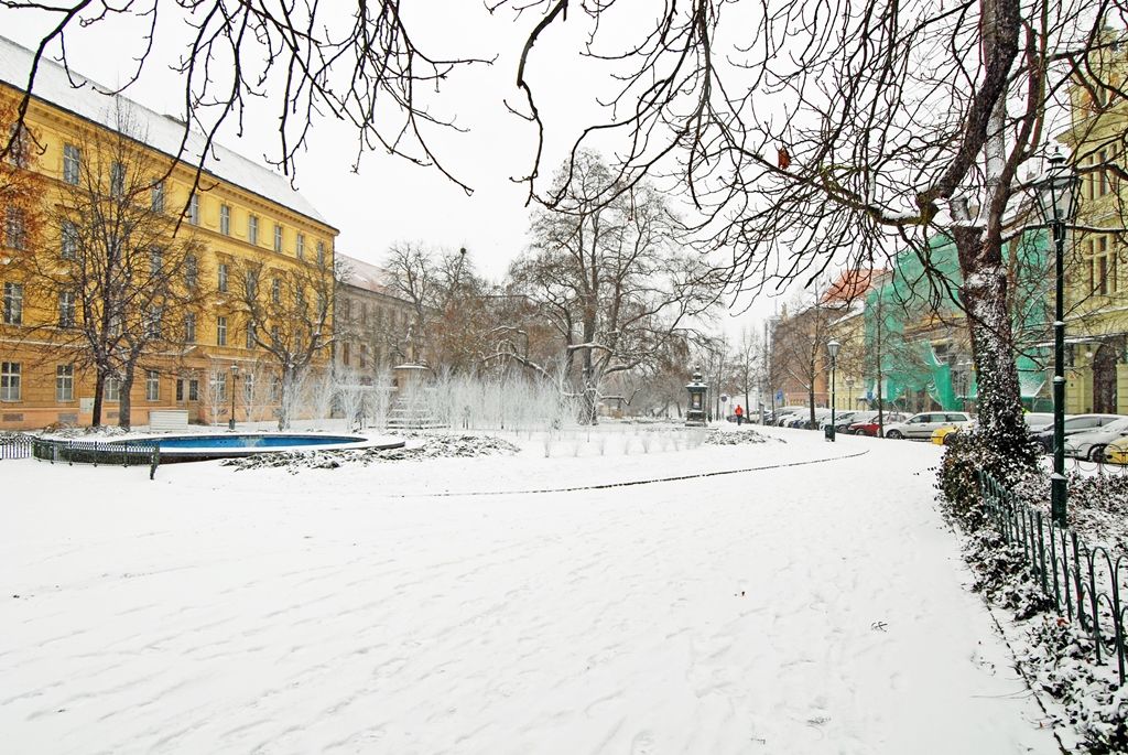 Smetanovy a Kopeckého sady letos poprvé pokryl bílý koberec (foto: 29.12.2014)