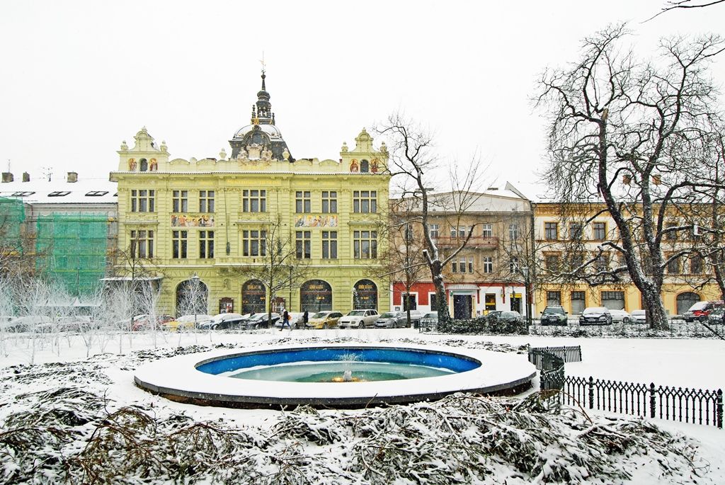Smetanovy a Kopeckého sady letos poprvé pokryl bílý koberec (foto: 29.12.2014)