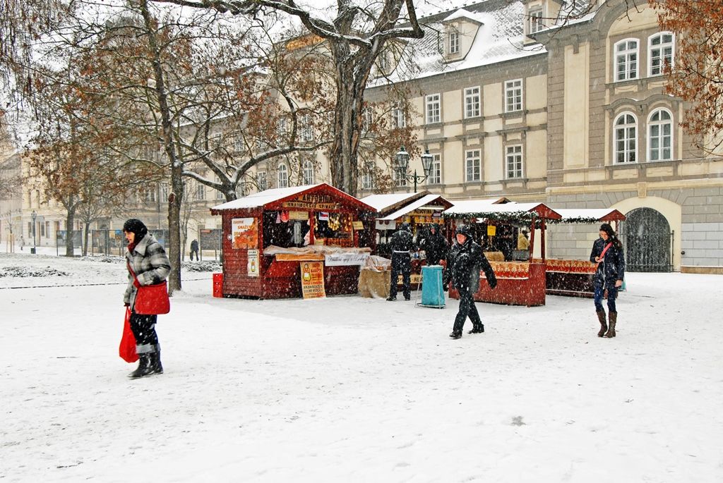 Smetanovy a Kopeckého sady letos poprvé pokryl bílý koberec (foto: 29.12.2014)