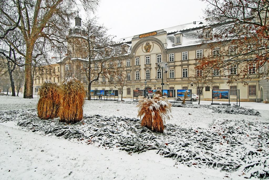 Smetanovy a Kopeckého sady letos poprvé pokryl bílý koberec (foto: 29.12.2014)