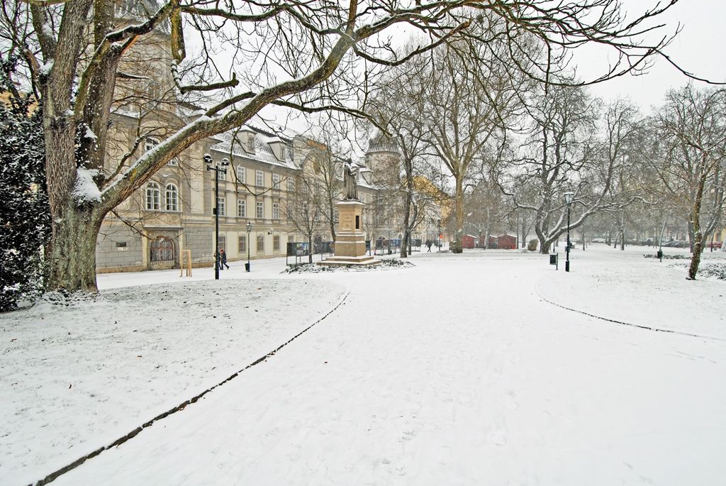 Smetanovy a Kopeckého sady letos poprvé pokryl bílý koberec (foto: 29.12.2014)