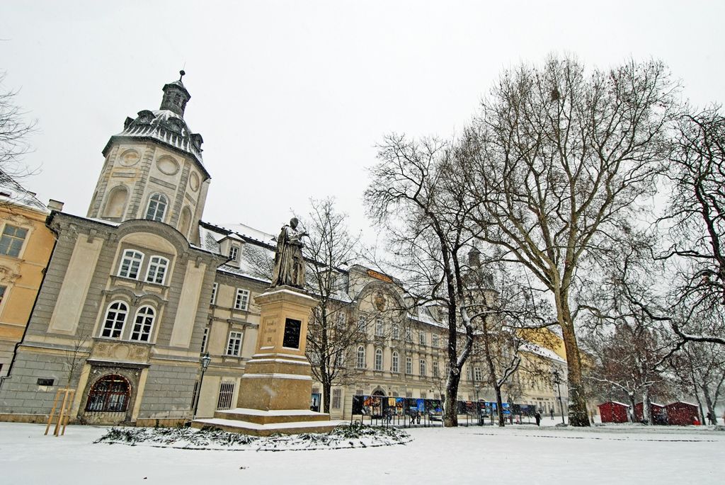 Smetanovy a Kopeckého sady letos poprvé pokryl bílý koberec (foto: 29.12.2014)