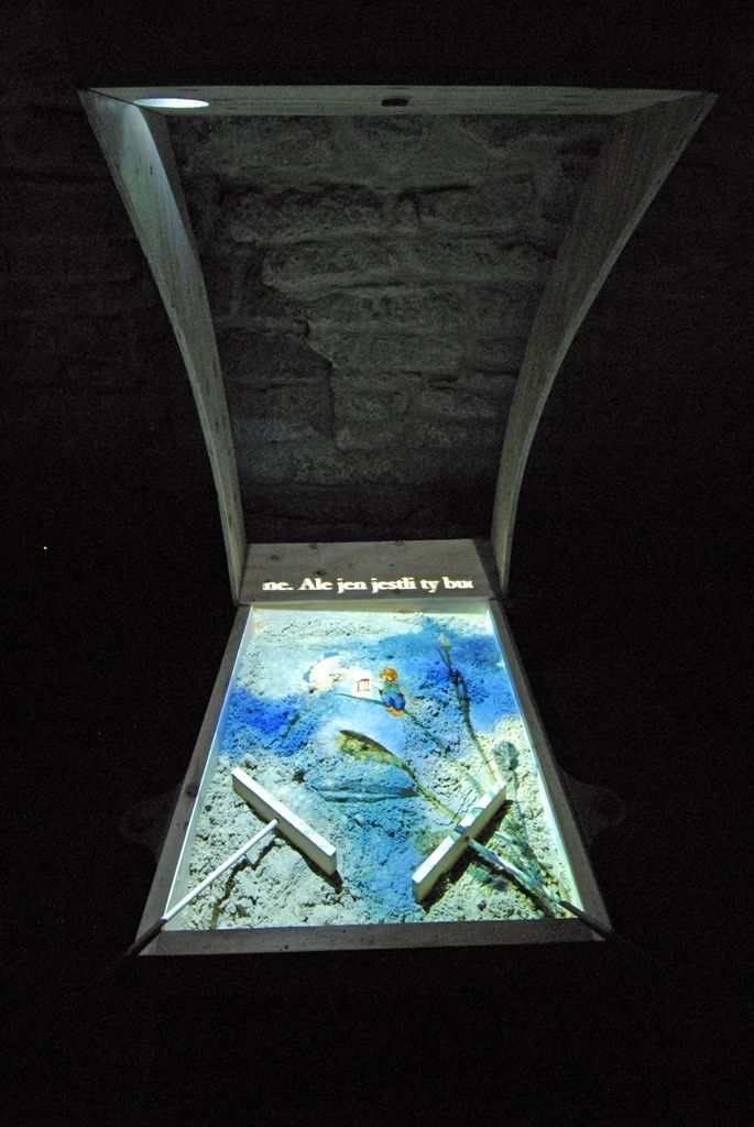 Galerie Jiřího Trnky hostí výstavu svého jmenovce, plzeňského rodáka a světově uznávaného výtvarníka. Prostory vzhledem k rozsahu poskytla i Galerie města Plzně. S autorem konceptu Janem Trnkou, potomkem Jiřího Trnky, spolupracoval Noro Držiak, laureát Českého lva za film Alois Nebel, architekt Miroslav Vavřina, kurátor Marcel Fišer z Galerie výtvarného umění v Chebu nebo Jakub Hora jako výkonný producent. (foto: 16.1.2015)