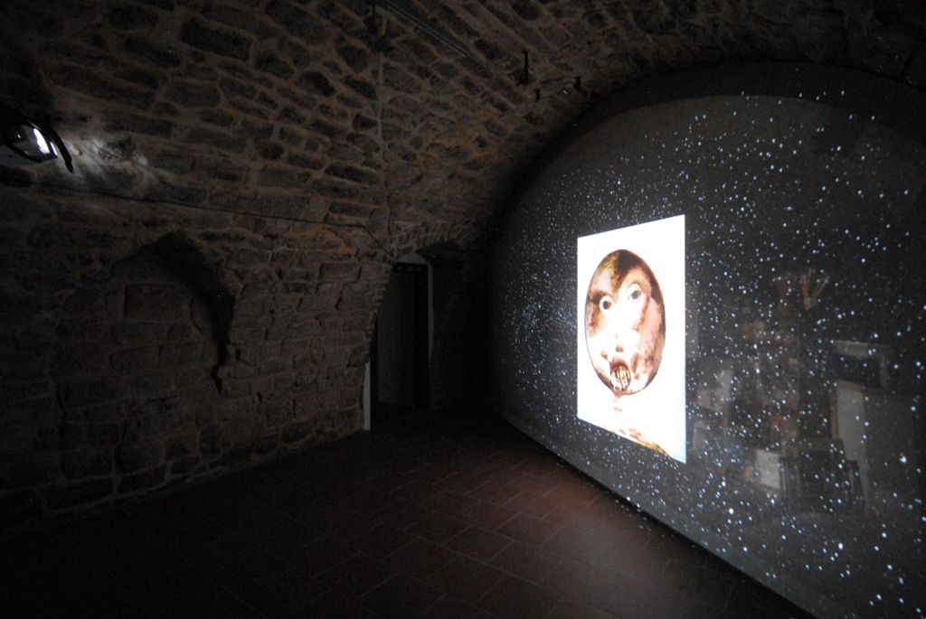 Galerie Jiřího Trnky hostí výstavu svého jmenovce, plzeňského rodáka a světově uznávaného výtvarníka. Prostory vzhledem k rozsahu poskytla i Galerie města Plzně. S autorem konceptu Janem Trnkou, potomkem Jiřího Trnky, spolupracoval Noro Držiak, laureát Českého lva za film Alois Nebel, architekt Miroslav Vavřina, kurátor Marcel Fišer z Galerie výtvarného umění v Chebu nebo Jakub Hora jako výkonný producent. (foto: 16.1.2015)