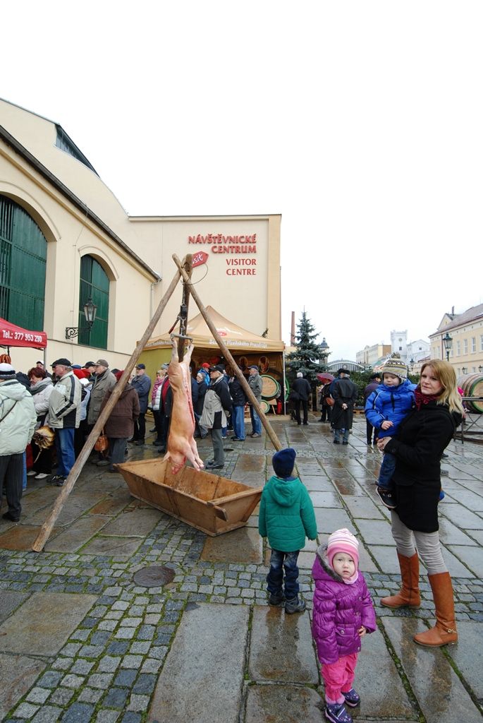 Původní a stále živá pivovarská řemesla, staročeská veselice ukazující to pravé české, které svým věhlasem překračuje hranice země, speciální pivovarská pošta a atraktivní prohlídky návštěvnické trasy s ochutnávkou piva. Tak se, kromě jiných, Plzeňský Prazdroj zapojil do slavnostního otevření města evropské kultuře. (foto: 17.1.2015)