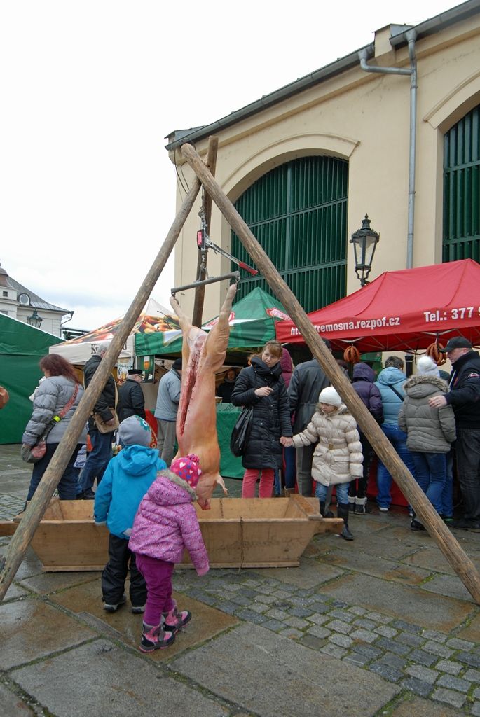 Původní a stále živá pivovarská řemesla, staročeská veselice ukazující to pravé české, které svým věhlasem překračuje hranice země, speciální pivovarská pošta a atraktivní prohlídky návštěvnické trasy s ochutnávkou piva. Tak se, kromě jiných, Plzeňský Prazdroj zapojil do slavnostního otevření města evropské kultuře. (foto: 17.1.2015)