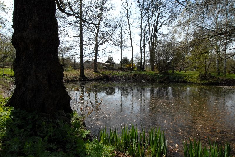 Zahradu založil mezi roky 1918 a 1933 JUDr. Vilém Luft jako svou soukromou okrasnou zahradu se dvěma okrasnými rybníky, množstvím exotických dřevin, altánem a sochařskou výzdobou. Po válce přešla zahrada do majetku města Plzně a od roku 1996 Správa veřejného statku města Plzně systematicky pracuje na jejím uvedení do původního stavu. Vlhký charakter pozemku dává vyniknout mokřadním a vlhkomilným společenstvím rostlin i živočichů (foto 22.4.2010).
