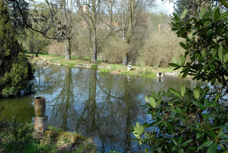 Zahradu založil mezi roky 1918 a 1933 JUDr. Vilém Luft jako svou soukromou okrasnou zahradu se dvěma okrasnými rybníky, množstvím exotických dřevin, altánem a sochařskou výzdobou. Po válce přešla zahrada do majetku města Plzně a od roku 1996 Správa veřejného statku města Plzně systematicky pracuje na jejím uvedení do původního stavu. Vlhký charakter pozemku dává vyniknout mokřadním a vlhkomilným společenstvím rostlin i živočichů (foto 22.4.2010).