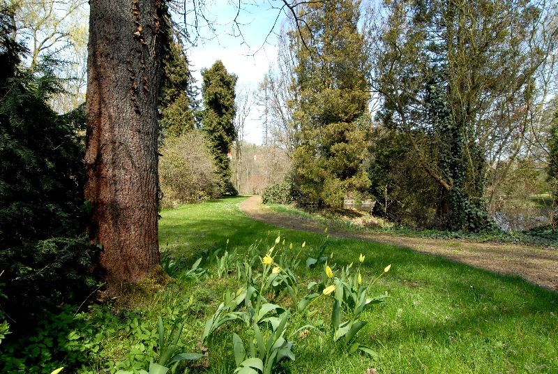 Zahradu založil mezi roky 1918 a 1933 JUDr. Vilém Luft jako svou soukromou okrasnou zahradu se dvěma okrasnými rybníky, množstvím exotických dřevin, altánem a sochařskou výzdobou. Po válce přešla zahrada do majetku města Plzně a od roku 1996 Správa veřejného statku města Plzně systematicky pracuje na jejím uvedení do původního stavu. Vlhký charakter pozemku dává vyniknout mokřadním a vlhkomilným společenstvím rostlin i živočichů (foto 22.4.2010).