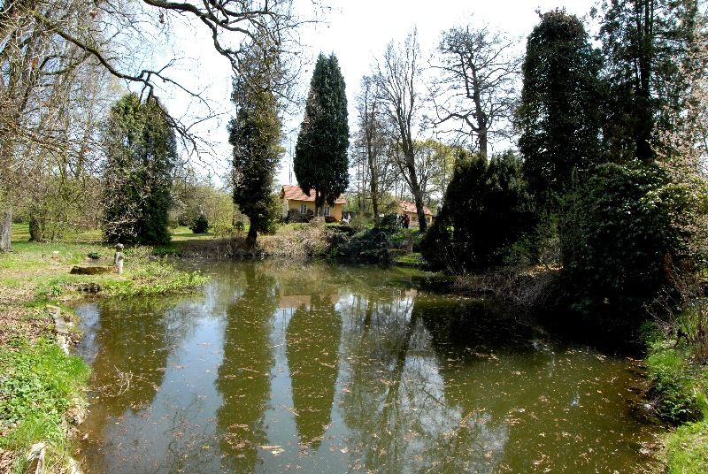 Zahradu založil mezi roky 1918 a 1933 JUDr. Vilém Luft jako svou soukromou okrasnou zahradu se dvěma okrasnými rybníky, množstvím exotických dřevin, altánem a sochařskou výzdobou. Po válce přešla zahrada do majetku města Plzně a od roku 1996 Správa veřejného statku města Plzně systematicky pracuje na jejím uvedení do původního stavu. Vlhký charakter pozemku dává vyniknout mokřadním a vlhkomilným společenstvím rostlin i živočichů (foto 22.4.2010).
