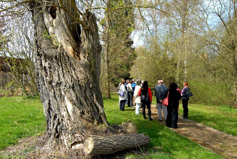 Zahradu založil mezi roky 1918 a 1933 JUDr. Vilém Luft jako svou soukromou okrasnou zahradu se dvěma okrasnými rybníky, množstvím exotických dřevin, altánem a sochařskou výzdobou. Po válce přešla zahrada do majetku města Plzně a od roku 1996 Správa veřejného statku města Plzně systematicky pracuje na jejím uvedení do původního stavu. Vlhký charakter pozemku dává vyniknout mokřadním a vlhkomilným společenstvím rostlin i živočichů (foto 22.4.2010).