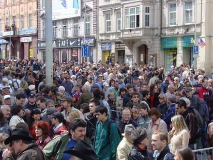 V sobotu od 11:00 hod. probíhala na Klatovské tř. přehlídka vojenské techniky nejenom 2. Světové války, ale i té současné. Historickými vozidly se tradičně svezli i veterání. Klatovskou tř. lemovalo cca 100.000 lidí.