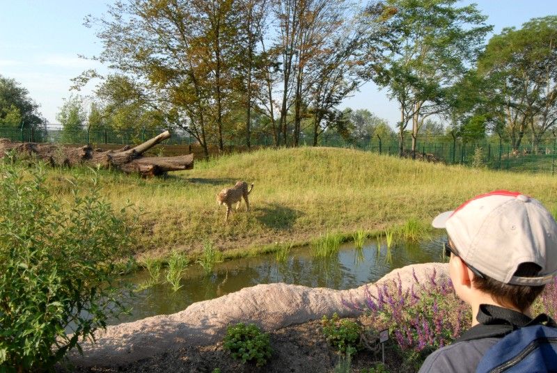 Na výletě po Africe v plzeňské zoo - část I.