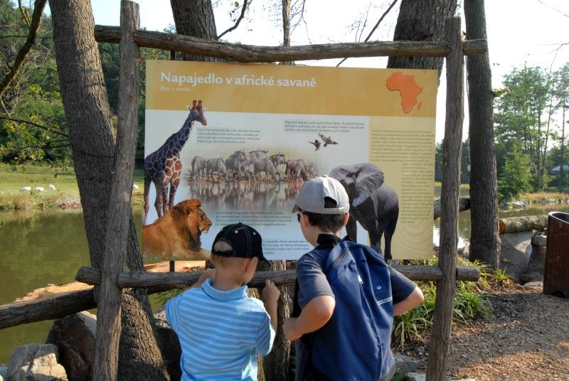 Návštěvník může na cestě nově potkat např. nosorožce indického, hrošíka liberijského a žirafu Rothschildovu (foto 22.7.2010).