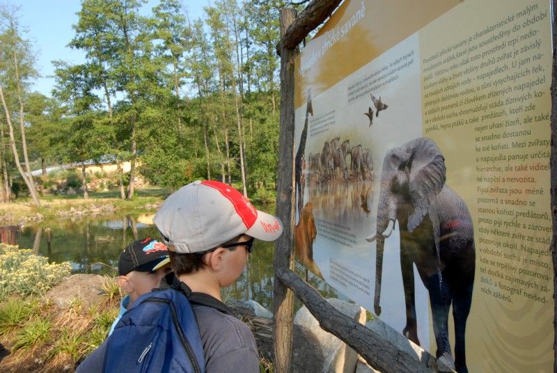 Návštěvník může na cestě nově potkat např. nosorožce indického, hrošíka liberijského a žirafu Rothschildovu (foto 22.7.2010).