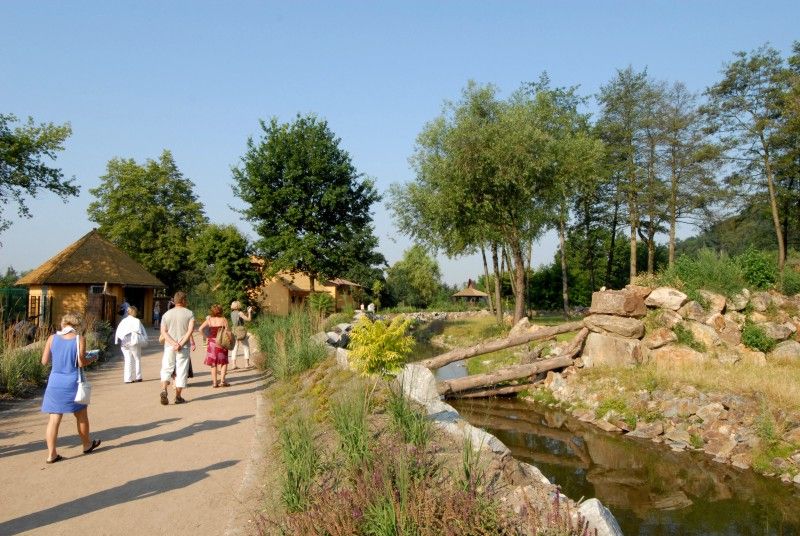 Návštěvník může na cestě nově potkat např. nosorožce indického, hrošíka liberijského a žirafu Rothschildovu (foto 22.7.2010).