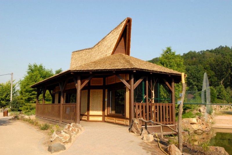 Návštěvník může na cestě nově potkat např. nosorožce indického, hrošíka liberijského a žirafu Rothschildovu (foto 22.7.2010).