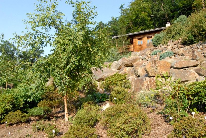 Návštěvník může na cestě nově potkat např. nosorožce indického, hrošíka liberijského a žirafu Rothschildovu (foto 22.7.2010).