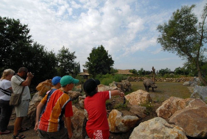 Na výletě po Africe v plzeňské zoo - část II.