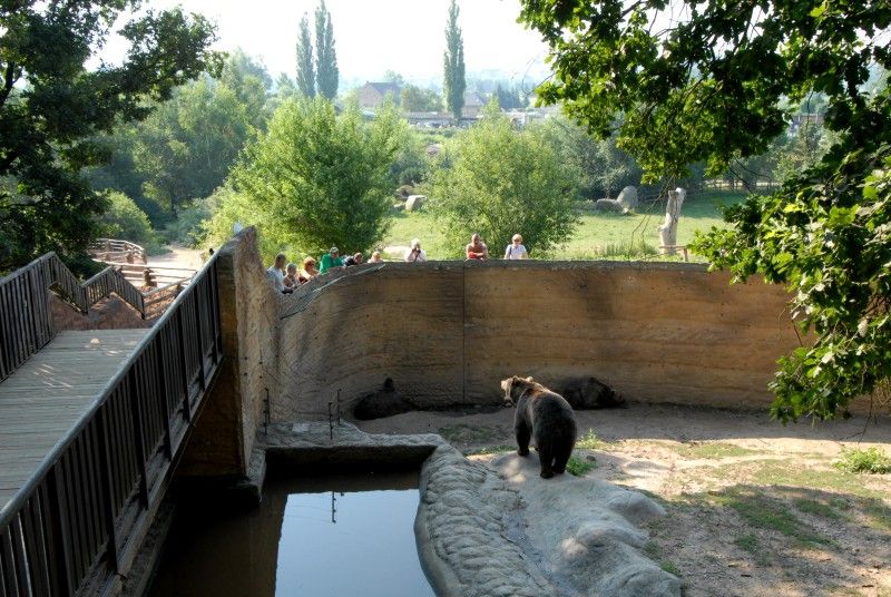 Návštěvník může na cestě nově potkat např. nosorožce indického, hrošíka liberijského a žirafu Rothschildovu (foto 22.7.2010).