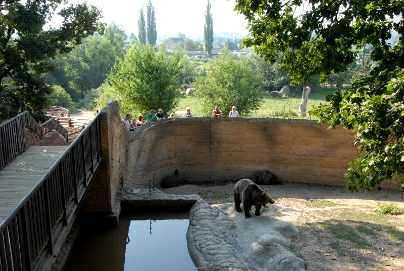 Návštěvník může na cestě nově potkat např. nosorožce indického, hrošíka liberijského a žirafu Rothschildovu (foto 22.7.2010).