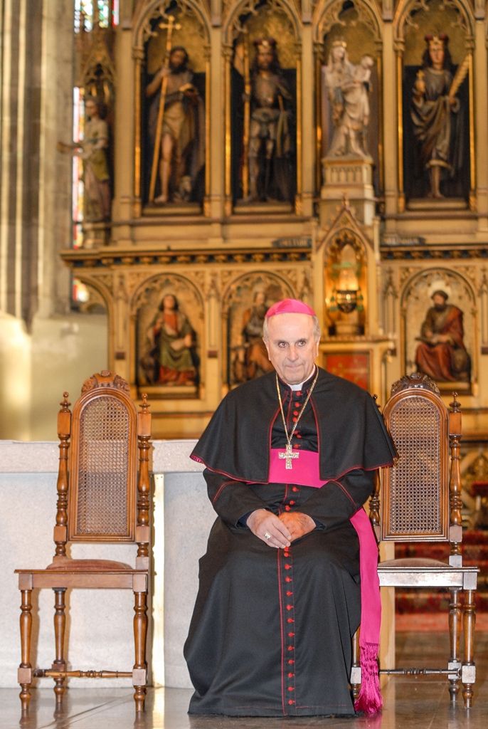 Plzeňská diecéze bude mít nového biskupa. Františka Radkovského střídá Tomáš Holub, generální sekretář České biskupské konference, farář pražské baziliky svatého Petra a Pavla a děkan Kolegiátní kapituly na pražském Vyšehradě. Biskupem plzeňské diecéze ho dnes jmenoval papež František, v pravé poledne byl představen v katedrále sv. Bartoloměje v Plzni. Dojemnému a historickému okamžiku přihlíželo několik stovek lidí. Mezi prvními vyjádřili podporu novému biskupovi primátor města Martin Zrzavecký spolu s náměstkem Petrem Náhlíkem. (foto: 12.2.2016)