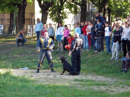 Den bez aut na Masarykově ZŠ.