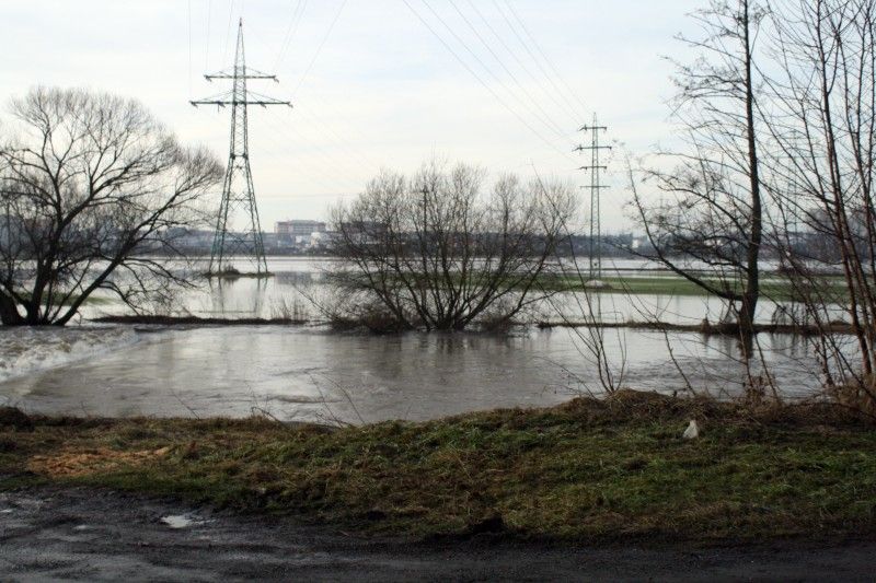 Pohled od zoo směrem na Skvrňany