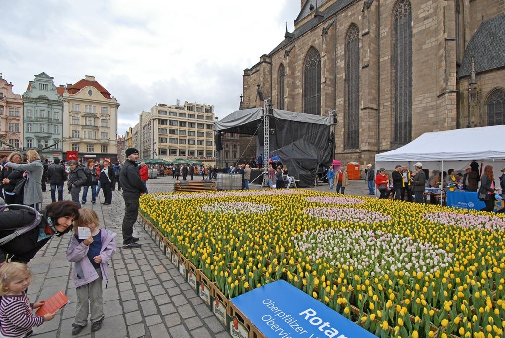 Současné umění našich sousedů, dechové kapely, proměnu Meeting pointu na náměstí v bavorskou „Alpenhütte“ i tradiční bavorské klobásky, pivo a kulinářské speciality nabídly Bavorské kulturní dny. Vrcholem týdenního festivalu, jenž se uskutečnil od 20. do 26. dubna, byla akce Květiny pro Plzeň. V jejím průběhu lidé na náměstí Republiky obdivovali draka řízeného nejmodernější elektronikou z historického představení  Drachenstich – Skolení draka. (foto: 26.4.2015)