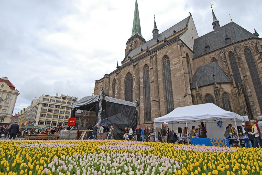 Současné umění našich sousedů, dechové kapely, proměnu Meeting pointu na náměstí v bavorskou „Alpenhütte“ i tradiční bavorské klobásky, pivo a kulinářské speciality nabídly Bavorské kulturní dny. Vrcholem týdenního festivalu, jenž se uskutečnil od 20. do 26. dubna, byla akce Květiny pro Plzeň. V jejím průběhu lidé na náměstí Republiky obdivovali draka řízeného nejmodernější elektronikou z historického představení  Drachenstich – Skolení draka. (foto: 26.4.2015)