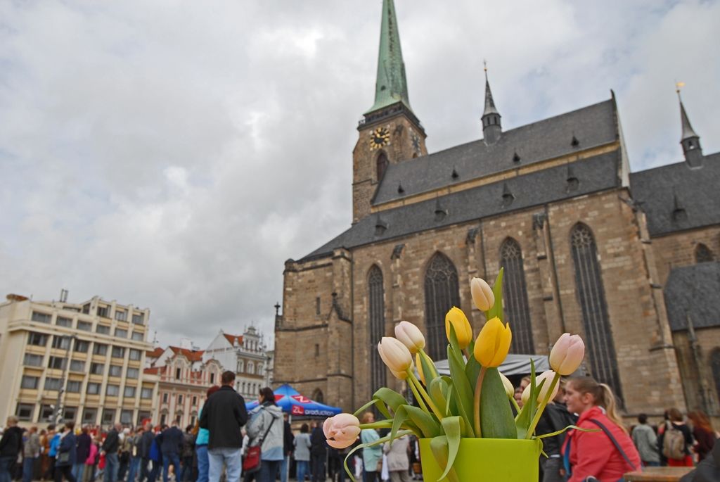 Současné umění našich sousedů, dechové kapely, proměnu Meeting pointu na náměstí v bavorskou „Alpenhütte“ i tradiční bavorské klobásky, pivo a kulinářské speciality nabídly Bavorské kulturní dny. Vrcholem týdenního festivalu, jenž se uskutečnil od 20. do 26. dubna, byla akce Květiny pro Plzeň. V jejím průběhu lidé na náměstí Republiky obdivovali draka řízeného nejmodernější elektronikou z historického představení  Drachenstich – Skolení draka. (foto: 26.4.2015)