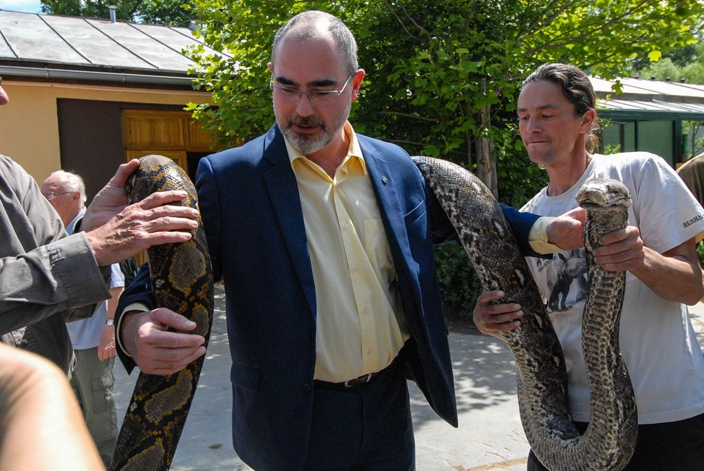 Novou expozici s nejjedovatějšími hady světa otevřela dnes plzeňská zoo. Opravou terárií z let 1963 a 1964 v Tropickém pavilonu přináší pohled na 12 druhů jedovatých hadů čtyř kontinentů, a sice Afriky, Austrálie, Asie a Ameriky. (foto: 29.5.2015)