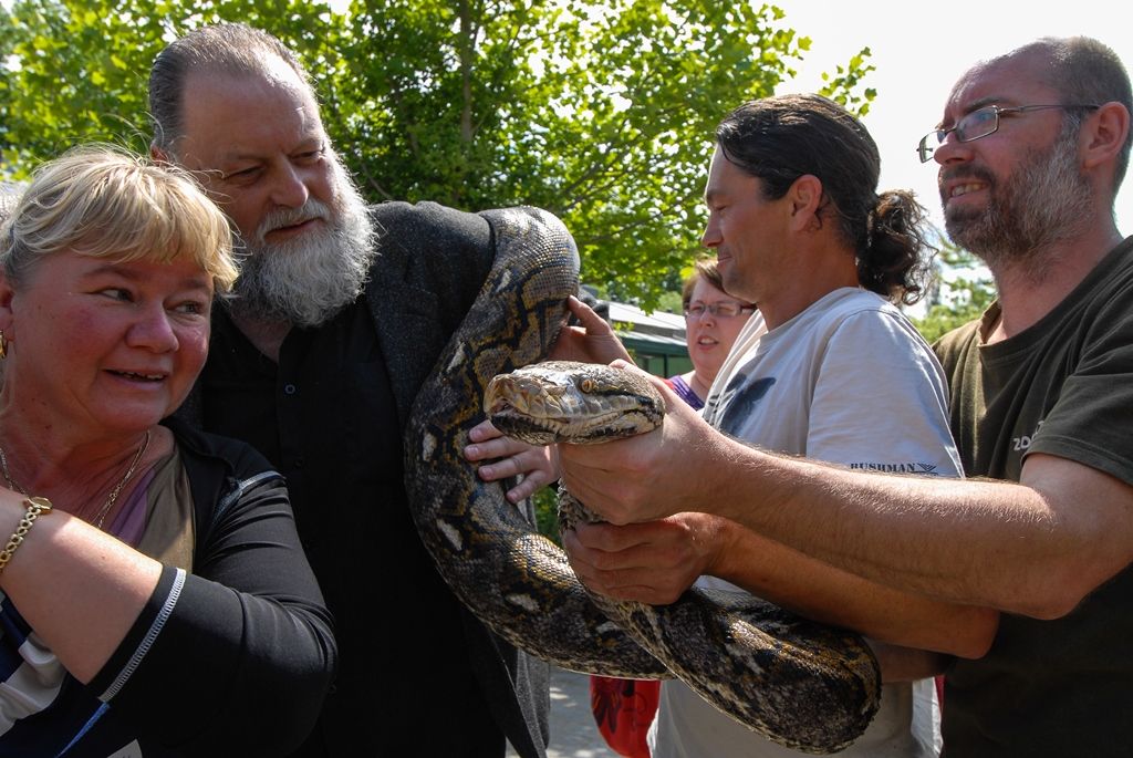Novou expozici s nejjedovatějšími hady světa otevřela dnes plzeňská zoo. Opravou terárií z let 1963 a 1964 v Tropickém pavilonu přináší pohled na 12 druhů jedovatých hadů čtyř kontinentů, a sice Afriky, Austrálie, Asie a Ameriky. (foto: 29.5.2015)