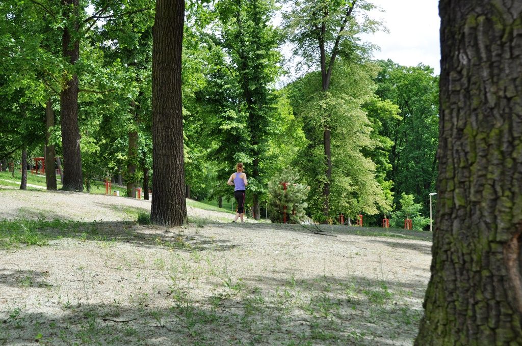 Lochotínský park v Plzni má novou tvář, město dokončilo rozsáhlou obnovu. Úpravy odpočinkové lokality, jež se nachází v těsné blízkosti zoologické zahrady a velkého amfiteátru pro více než 15 tisíc lidí, zahrnuly rekonstrukci hudebního pavilonku, obnovu cest, pořízení tzv. Artušova stolu neboli kamenné skulptury z dílny Václava Fialy, ale také kompletní zásah do parkové zeleně. Stavba vyšla na 29 milionů korun včetně DPH. Financována je z peněz EU, město Plzeň uhradí 15 procent ceny stavby. (foto: E. Kriegerová, 2.6.2015)