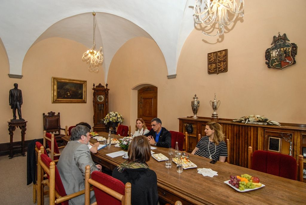 Jako součást programu Plzeň - Evropské hlavní město kultury se v těchto dnech v Plzni konají Dny Jeruzaléma. Multižánrový festival, jenž nabízí atraktivní program pro různorodé publikum i různé věkové kategorie, by se mohl stát v západočeské metropoli tradicí a mohl by také nabídnout možnost prezentovat plzeňskou kulturu v Izraeli. I o tomto dnes při společném setkání na radnici mluvil náměstek primátora Petr Náhlík se zástupci města Jeruzalém. (foto: 19.6.2015)
