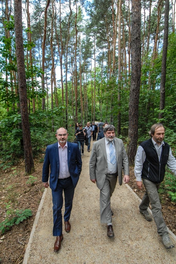 Atraktivnější lokalitou se nyní stává lesopark Ostende v blízkosti Velkého boleveckého rybníka v Plzni. Město jej nechalo upravit, revitalizace prováděná od dubna do června si vyžádala 1,4 milionu korun včetně DPH. Díky projektu mají nyní lidé k dispozici vylepšený systém cest pro pěší, zlepšila se tím průchodnost územím, přibyl i nový altán. (foto: 29.6.2015)