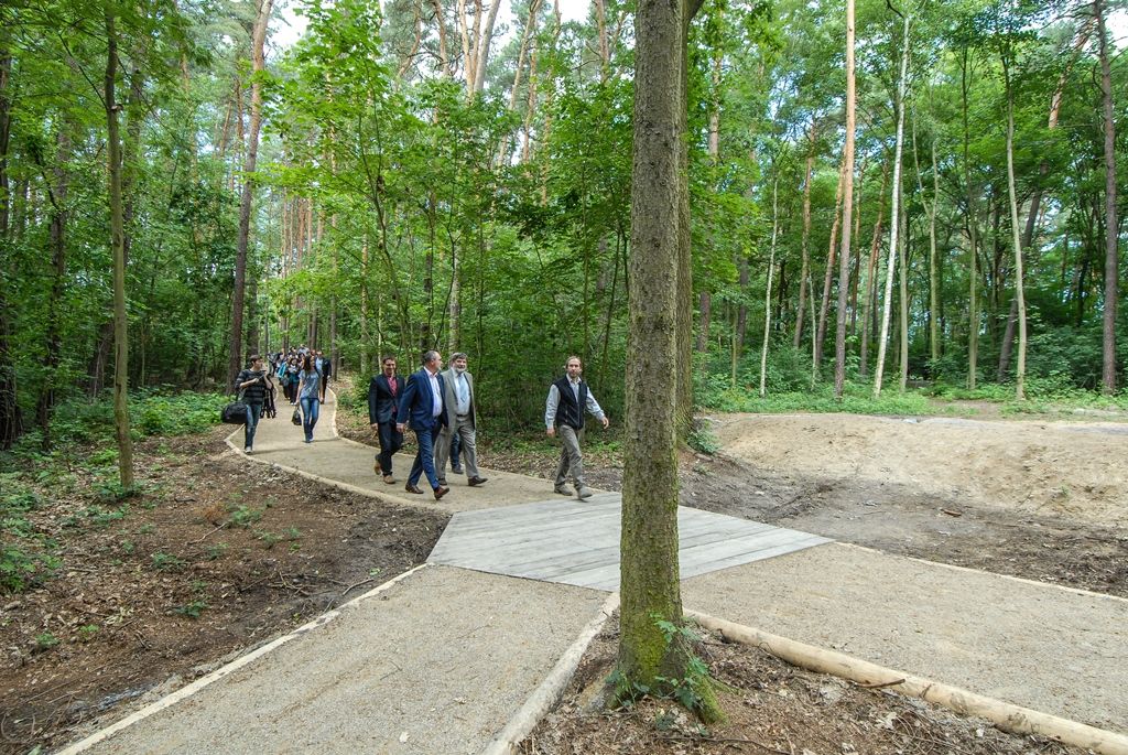 Město upravilo lesopark Ostende