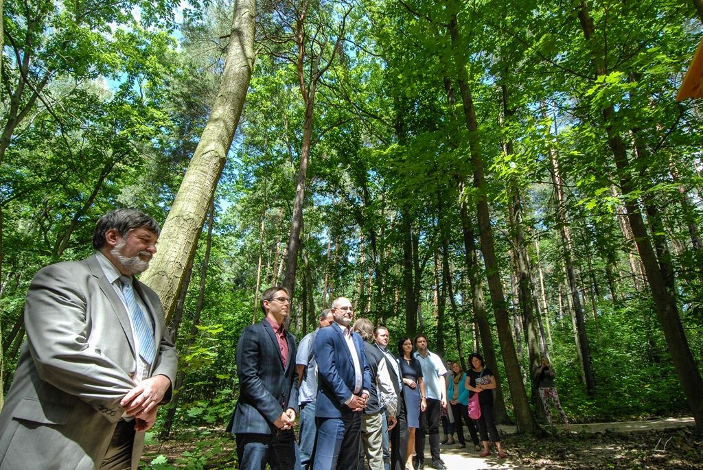 Atraktivnější lokalitou se nyní stává lesopark Ostende v blízkosti Velkého boleveckého rybníka v Plzni. Město jej nechalo upravit, revitalizace prováděná od dubna do června si vyžádala 1,4 milionu korun včetně DPH. Díky projektu mají nyní lidé k dispozici vylepšený systém cest pro pěší, zlepšila se tím průchodnost územím, přibyl i nový altán. (foto: 29.6.2015)