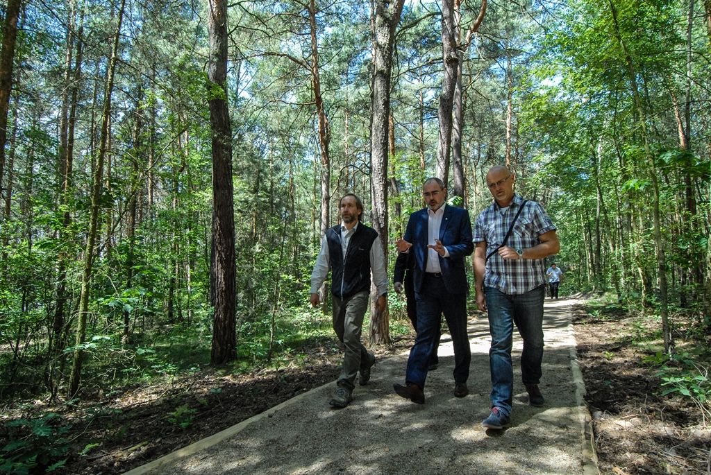 Atraktivnější lokalitou se nyní stává lesopark Ostende v blízkosti Velkého boleveckého rybníka v Plzni. Město jej nechalo upravit, revitalizace prováděná od dubna do června si vyžádala 1,4 milionu korun včetně DPH. Díky projektu mají nyní lidé k dispozici vylepšený systém cest pro pěší, zlepšila se tím průchodnost územím, přibyl i nový altán. (foto: 29.6.2015)