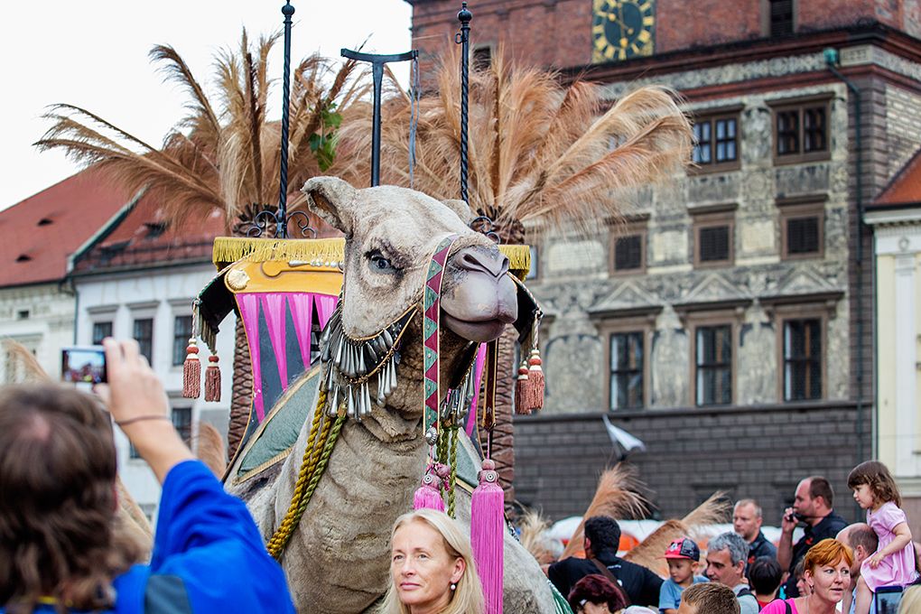 Obří loutky prošly centrem Plzně, od pátku do neděle je vidělo přes 100 tisíc lidí. Organizátoři z Plzeň 2015, kteří španělské marionety nabídli jako součást projektu Plzeň – Evropské hlavní město kultury 2015, označili akci za obrovský úspěch. Nejvíce diváků, a to celkem 45 tisíc, přilákal příběh loutek souboru Carros de Foc v sobotu. (foto: M. Chaloupka, 28.-30.8.2015)