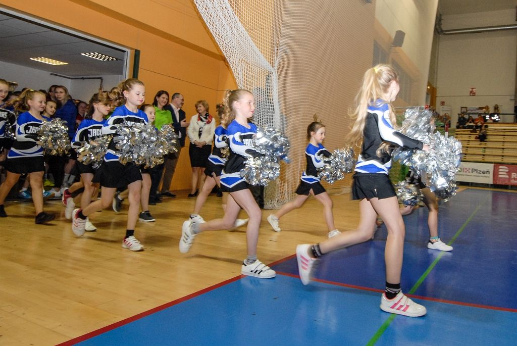 Dvanáct nejlepších žákovských týmů z celé České republiky se ve čtvrtek odpoledne pustilo do bojů o Pohár ministryně školství v házené, městská sportovní hala na Slovanech hostí finále Sportovní ligy základních škol. O prestižní trofej bojuje šest dívčích a stejný počet chlapeckých týmů. (foto: 7.4.2016)