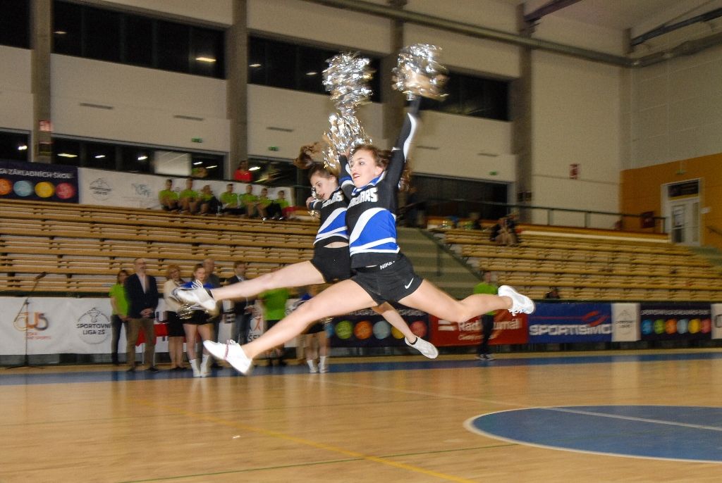 Dvanáct nejlepších žákovských týmů z celé České republiky se ve čtvrtek odpoledne pustilo do bojů o Pohár ministryně školství v házené, městská sportovní hala na Slovanech hostí finále Sportovní ligy základních škol. O prestižní trofej bojuje šest dívčích a stejný počet chlapeckých týmů. (foto: 7.4.2016)