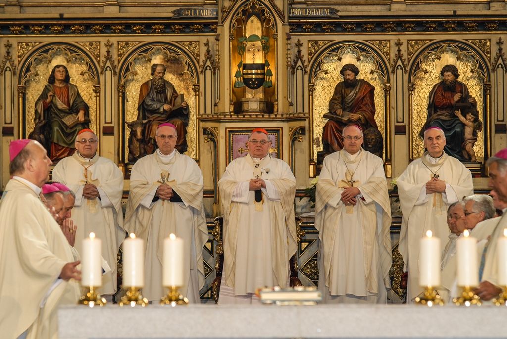 Poprvé v historii zažili Plzeňané v katedrále svatého Bartoloměje svěcení nového biskupa, do čela Plzeňské diecéze se dnes oficiálně postavil Mons. Tomáš Holub, kterého 12. února novým plzeňským biskupem jmenoval Svatý otec, papež František. Biskupské svěcení přijal z rukou pražského arcibiskupa, kardinála Dominika Duky, spolusvětiteli byli emeritní plzeňský biskup Mons. František Radkovský a řezenský biskup Dr. Rudolf Voderholzer. Po slavnostních okamžicích v katedrále sv. Bartoloměje nově vysvěcený plzeňský biskup Tomáš Holub, biskup František Radkovský, náměstci primátora Martin Baxa a Petr Náhlík i zástupci Armády České republiky vzdali úctu odvaze a dobrému srdci mladých mužů a žen, kteří se vylodili na starém kontinentu na plážích severní Francie a přes ohromné oběti přijeli do Československa. (foto: 30.4.2016)