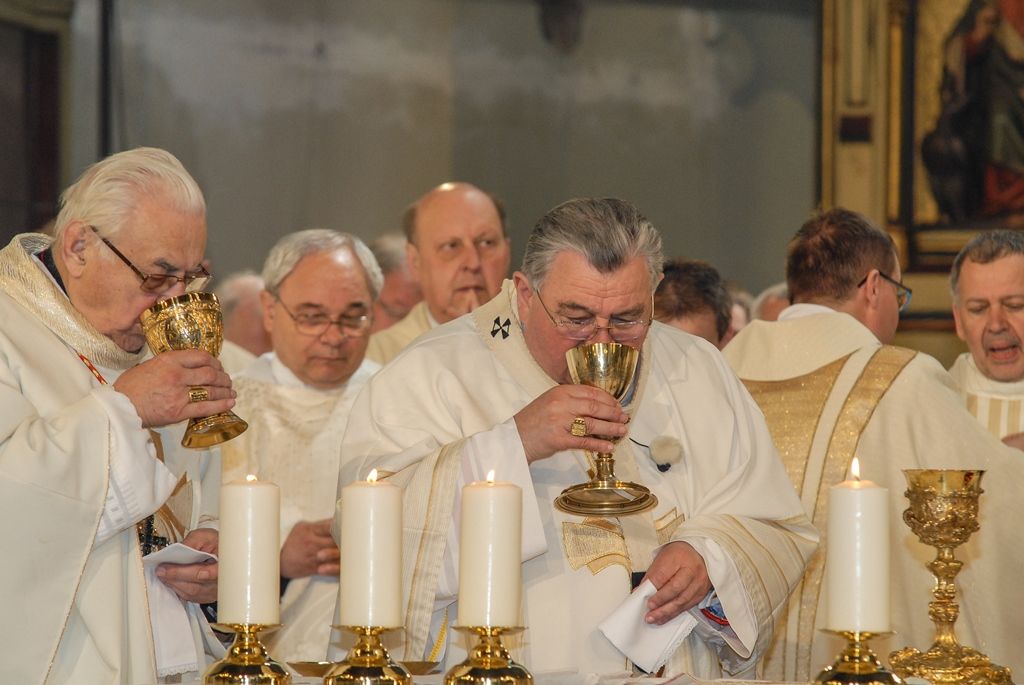 Poprvé v historii zažili Plzeňané v katedrále svatého Bartoloměje svěcení nového biskupa, do čela Plzeňské diecéze se dnes oficiálně postavil Mons. Tomáš Holub, kterého 12. února novým plzeňským biskupem jmenoval Svatý otec, papež František. Biskupské svěcení přijal z rukou pražského arcibiskupa, kardinála Dominika Duky, spolusvětiteli byli emeritní plzeňský biskup Mons. František Radkovský a řezenský biskup Dr. Rudolf Voderholzer. Po slavnostních okamžicích v katedrále sv. Bartoloměje nově vysvěcený plzeňský biskup Tomáš Holub, biskup František Radkovský, náměstci primátora Martin Baxa a Petr Náhlík i zástupci Armády České republiky vzdali úctu odvaze a dobrému srdci mladých mužů a žen, kteří se vylodili na starém kontinentu na plážích severní Francie a přes ohromné oběti přijeli do Československa. (foto: 30.4.2016)