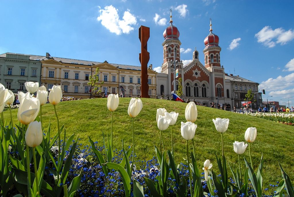Svobodu navždy dnes Plzeňanům popřál americký veterán Earl Ingram, nadporučík 2. pěší divize. Jako zástupce amerických a belgických veteránů, kteří před 71 lety osvobozovali Plzeň, promluvil při hlavním vzpomínkovém aktu plzeňských Slavností svobody. Ten se letos konal u památníku G. S. Pattona, ceremoniál sledovalo kolem 400 lidí. Při setkání promluvili vedle primátora města Plzně Martina Zrzaveckého i další významní hosté, například velvyslanec Spojených států amerických v České republice J. E. Andrew Hirsch Schapiro. (foto: 6.5.2016)