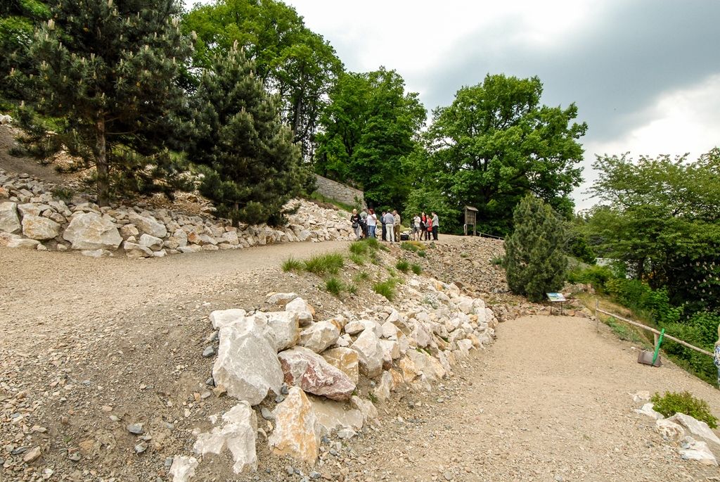 Mochna stříbrná, rozrazil alpský, hledíček, vrba nebo šťovík, to je jen drobný výčet horské flóry, která představuje nově otevřenou expozici Hory Evropy v plzeňské zoologické a botanické zahradě. Dosud nevyužitý svah nad restaurací Kiboko, kde v minulosti býval výběh pro lamy, paovce či jeleny, zpřístupnila zahrada návštěvníkům v podobě sítě cest se skalkami z různých druhů hornin. Ty umožňují nejen procházku Evropou od západu k východu, ale také stoupání z montánního pásma přes subalpínské po alpínské. (foto: 23.5.2016)