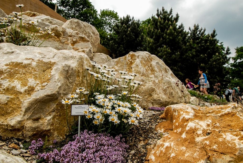 Zahrada otevřela novou botanickou expozici Hory Evropy