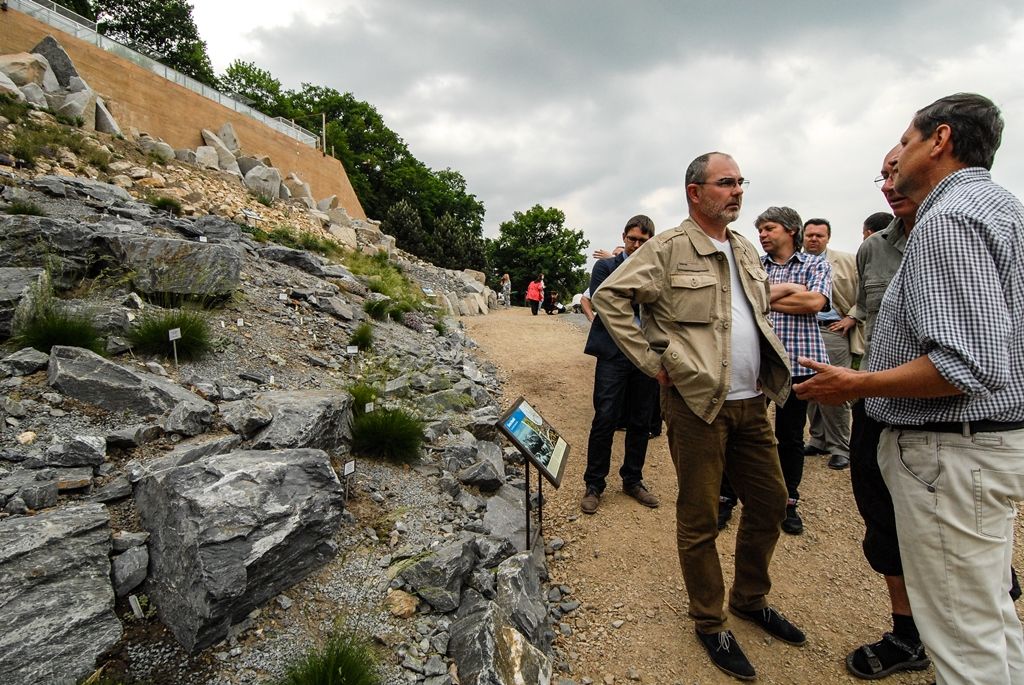 Mochna stříbrná, rozrazil alpský, hledíček, vrba nebo šťovík, to je jen drobný výčet horské flóry, která představuje nově otevřenou expozici Hory Evropy v plzeňské zoologické a botanické zahradě. Dosud nevyužitý svah nad restaurací Kiboko, kde v minulosti býval výběh pro lamy, paovce či jeleny, zpřístupnila zahrada návštěvníkům v podobě sítě cest se skalkami z různých druhů hornin. Ty umožňují nejen procházku Evropou od západu k východu, ale také stoupání z montánního pásma přes subalpínské po alpínské. (foto: 23.5.2016)