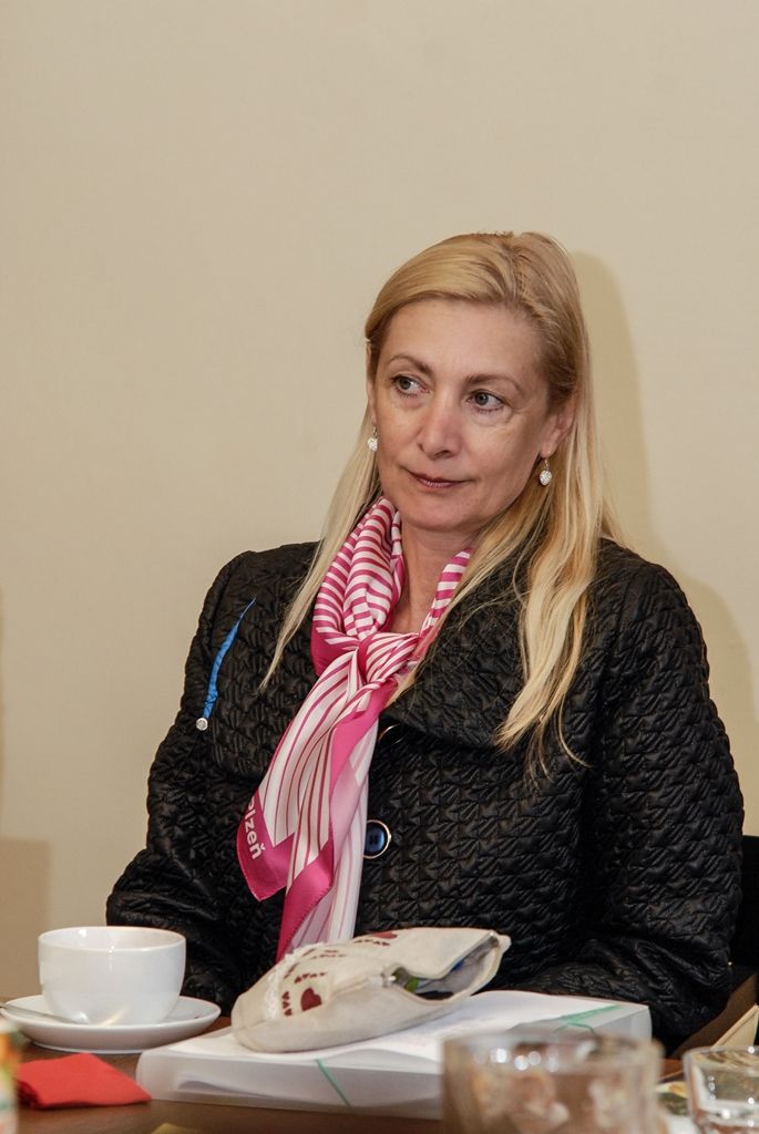 Setkání tří partnerů, měst Plzně, Brna a Ostravy, nad tématem sociálního a dostupného bydlení se pod společnou záštitou primátora města Plzně Martina Zrzaveckého a náměstkyně pro oblast školství a sociálních věcí Evy Herinkové uskutečnilo na plzeňské radnici 16. a 17. června 2016.