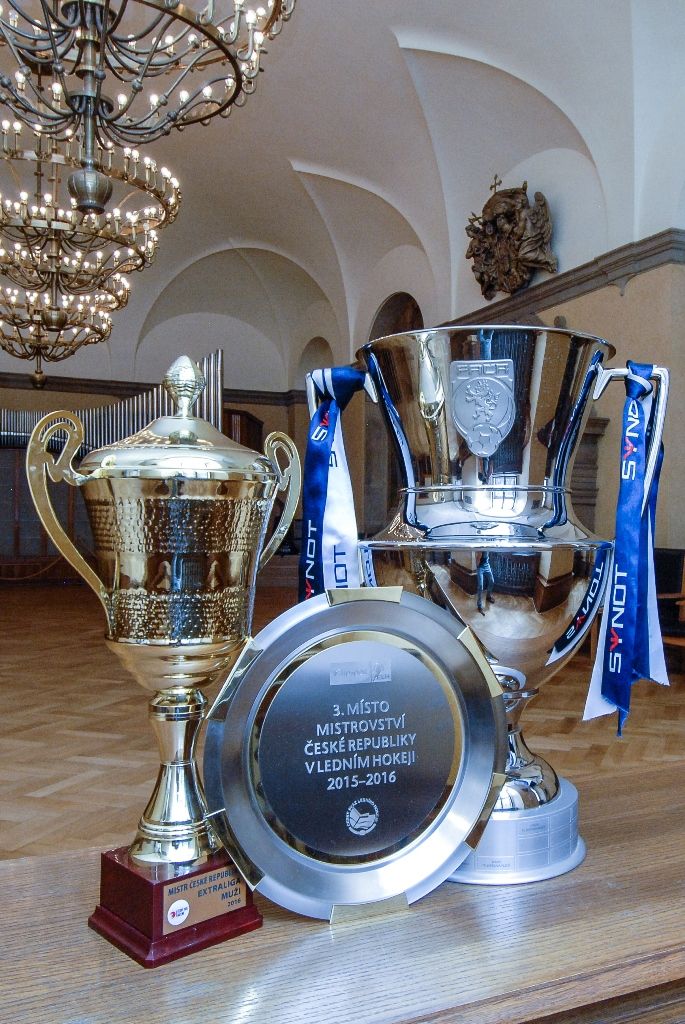 Za úspěchy v sezoně 2015/2016 poděkovali dnes (1.7.2016) členové Rady města Plzně a zástupci magistrátu třem plzeňským klubům – FC Viktorii Plzeň, Talentu M.A.T. Plzeň a HC Škodě Plzeň. Fotbalisté a házenkáři vybojovali tituly, hokejisté se umístili na třetím místě. Za posledních pět let získaly kluby společně osm titulů z nejvyšších českých soutěží, fotbalisté zvítězili čtyřikrát, házenkáři třikrát, hokejisté ovládli ligu v roce 2013.